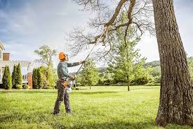 Reliable Germantown Hills, IL Tree Removal and Landscaping Services Solutions